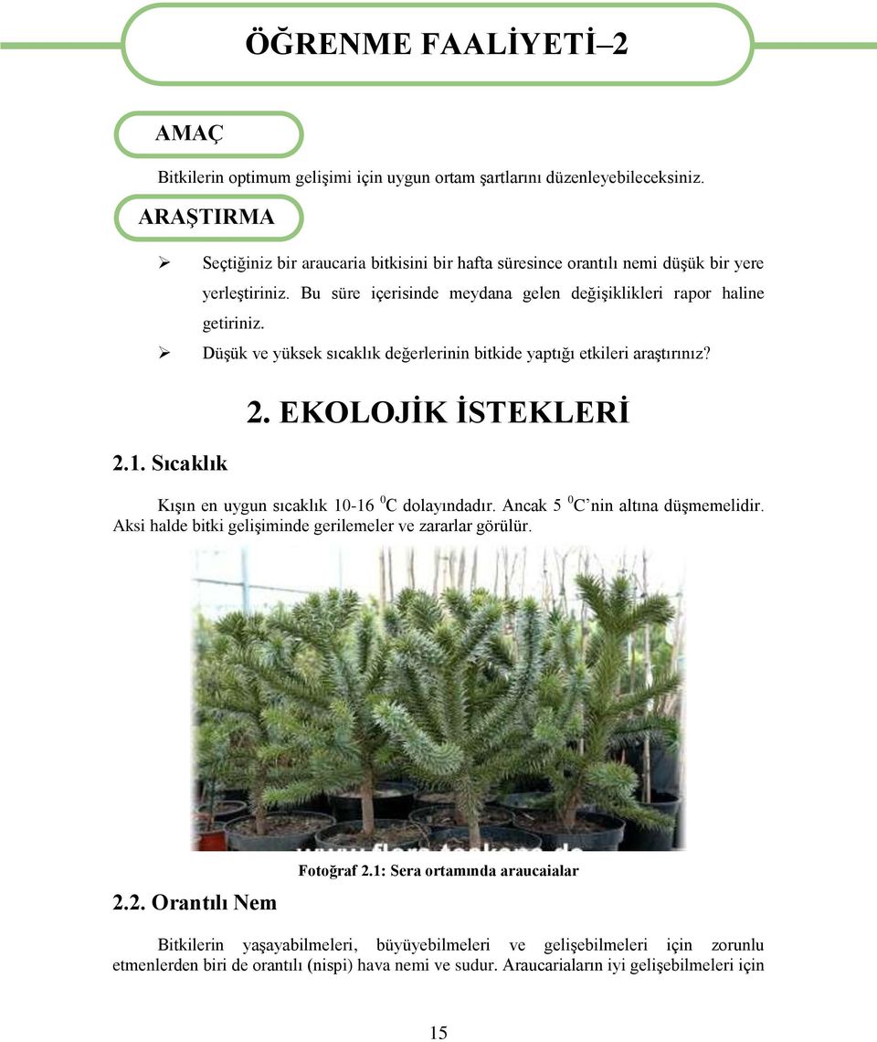 DüĢük ve yüksek sıcaklık değerlerinin bitkide yaptığı etkileri araģtırınız? 2.1. Sıcaklık 2. EKOLOJĠK ĠSTEKLERĠ KıĢın en uygun sıcaklık 10-16 0 C dolayındadır. Ancak 5 0 C nin altına düģmemelidir.