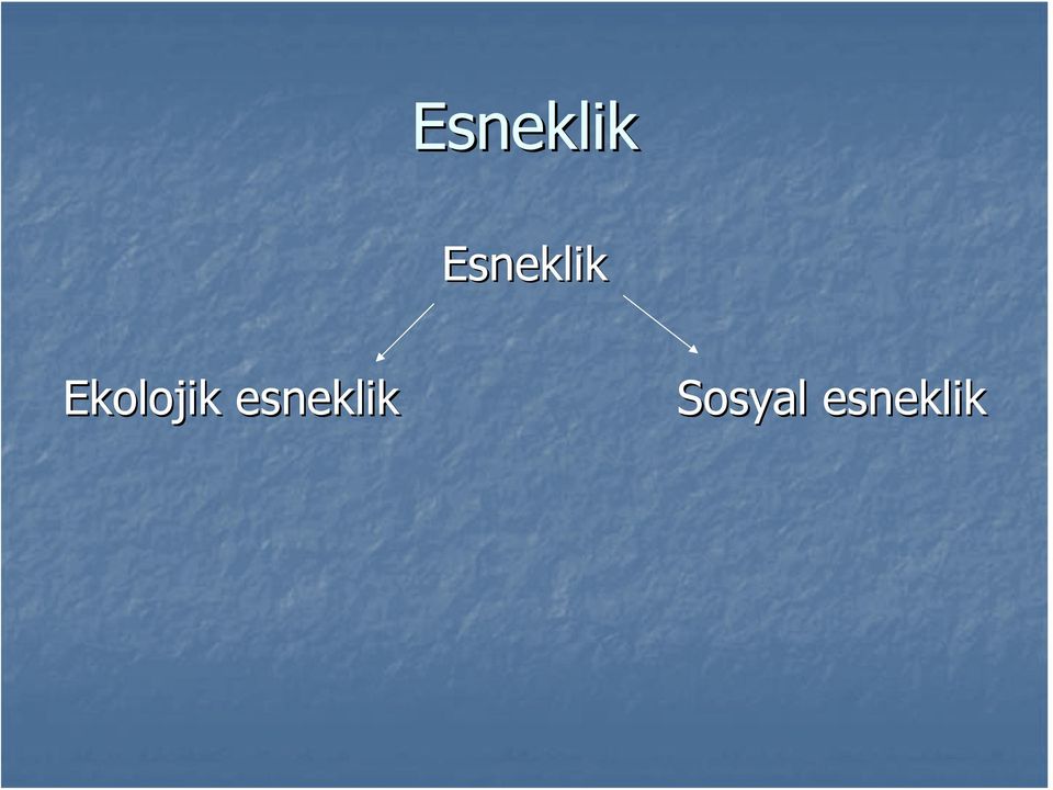 esneklik