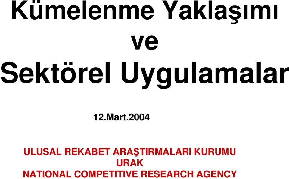 2004 ULUSAL REKABET ARATIRMALARI