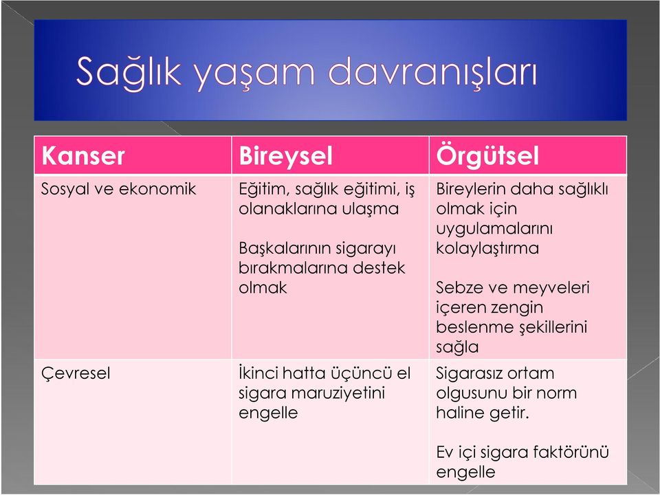 Bireylerin daha sağlıklı olmak için uygulamalarını kolaylaştırma Sebze ve meyveleri içeren zengin