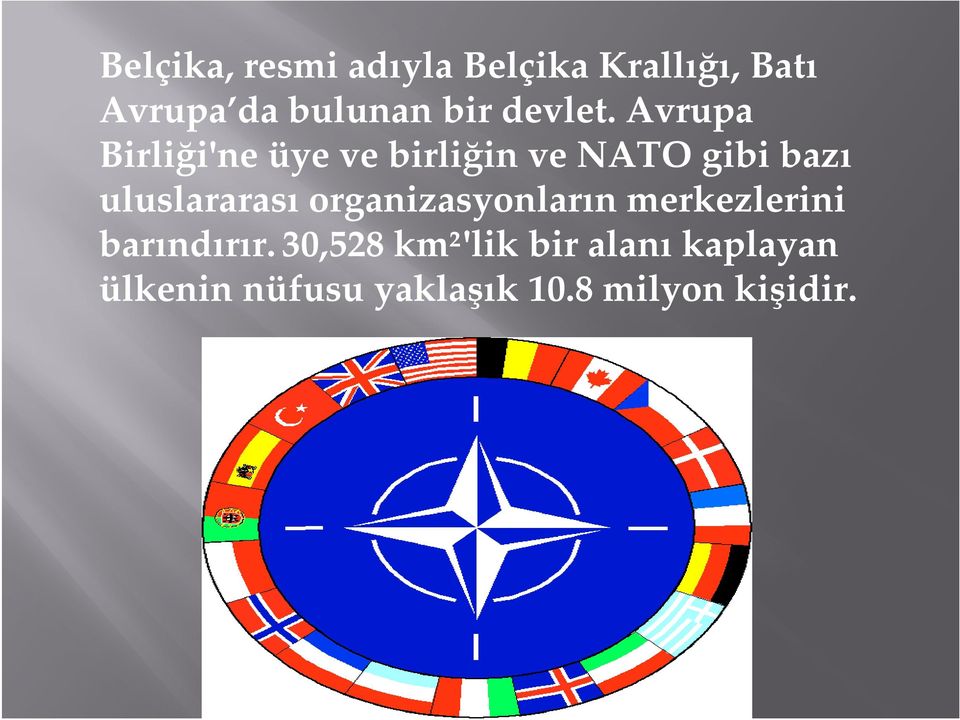 Avrupa Birliği'ne üye ve birliğin ve NATO gibi bazı uluslararası