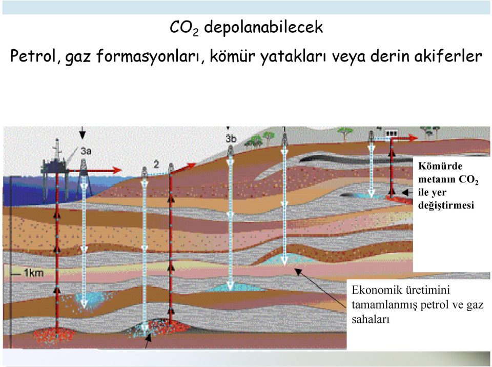 akiferler Kömürde metann CO 2 ile yer