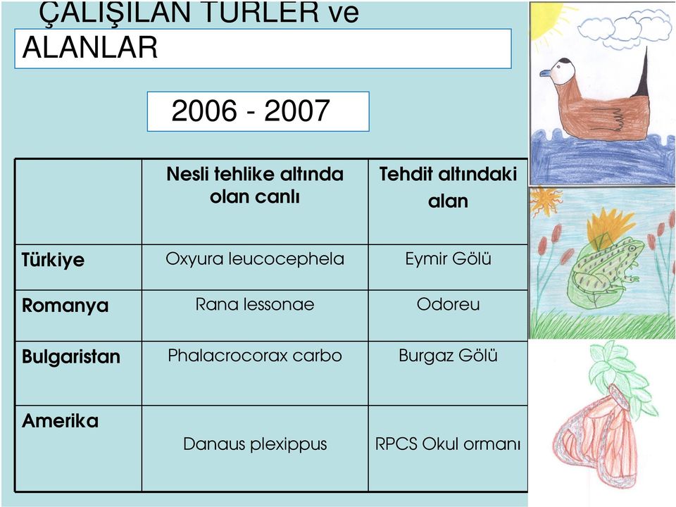 Eymir Gölü Romanya Rana lessonae Odoreu Bulgaristan