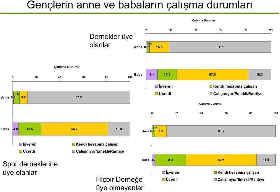 5 Ücretli Çalışmıyor/Emekli/Rantiye Çalışma Durumu 0 20 40 60 80 100 Baba 4.8 19.5 56.7 19.0 2.2 Anne 0.1 9.5 88.