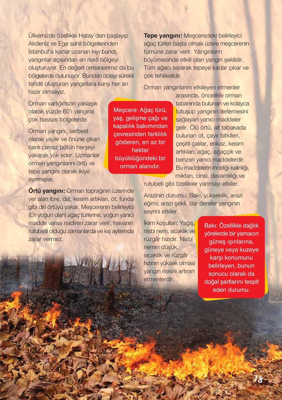 Orman varlı ımızın yaklaflık olarak yüzde 60 ı yangına çok hassas bölgelerde. Orman yangını, serbest olarak yayılır ve önüne çıkan canlı cansız bütün herfleyi yakarak yok eder.