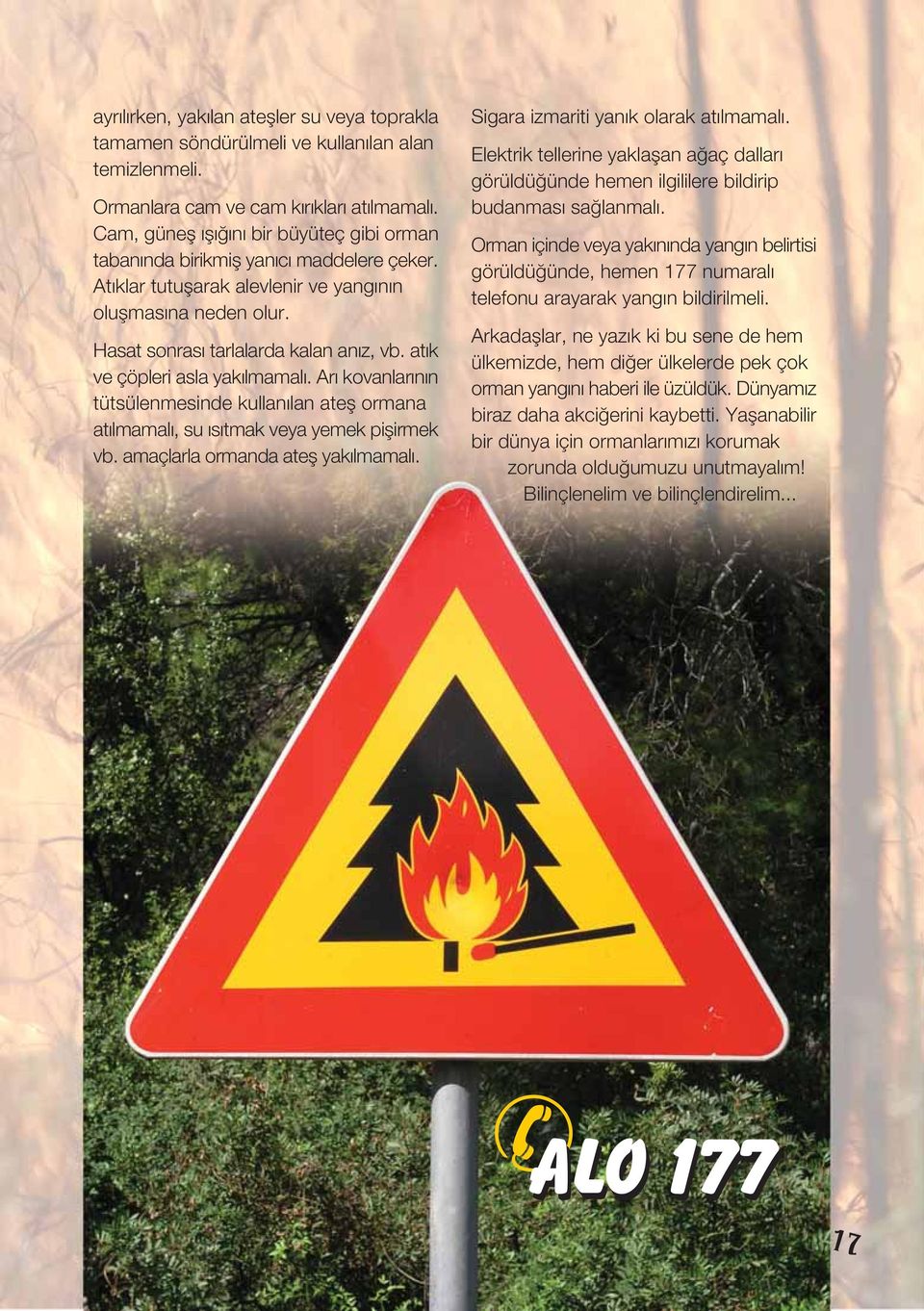 atık ve çöpleri asla yakılmamalı. Arı kovanlarının tütsülenmesinde kullanılan atefl ormana atılmamalı, su ısıtmak veya yemek piflirmek vb. amaçlarla ormanda atefl yakılmamalı.