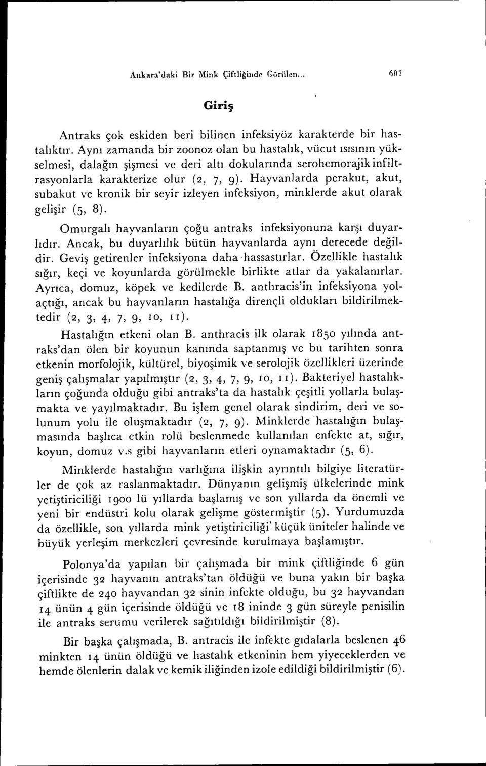 subakut ve kronik bir seyir izleyen infeksiyon, minklerde akut olarak gelişir (5, 8). Omurgalı hayvanların çoğu antraks infeksiyonuna karşı duyarlıdır.