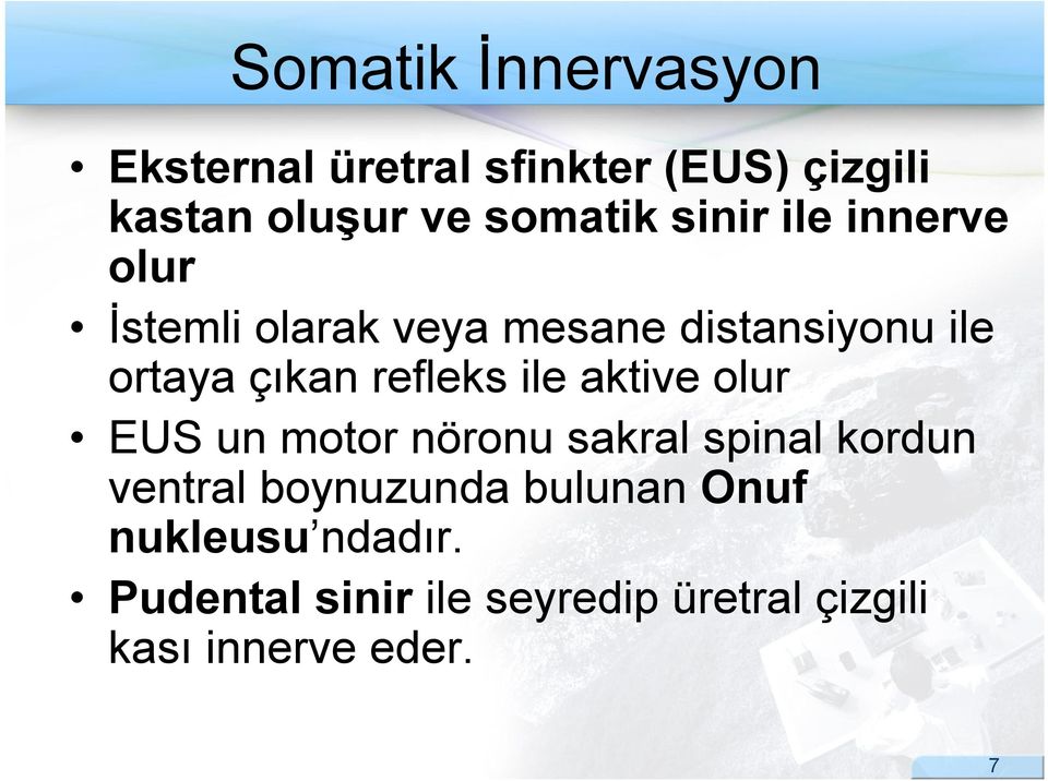 refleks ile aktive olur EUS un motor nöronu sakral spinal kordun ventral boynuzunda