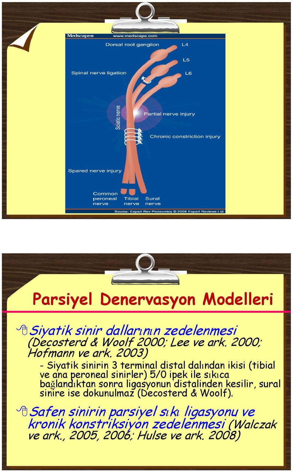 2003) - Siyatik sinirin 3 terminal distal dalından ikisi (tibial ve ana peroneal sinirler) 5/0 ipek ile sıkıca