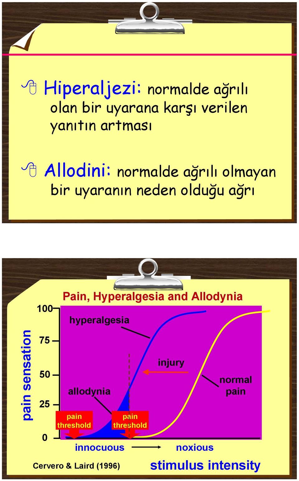 Hyperalgesia and Allodynia hyperalgesia pain sensation 75 50 25 0 allodynia pain
