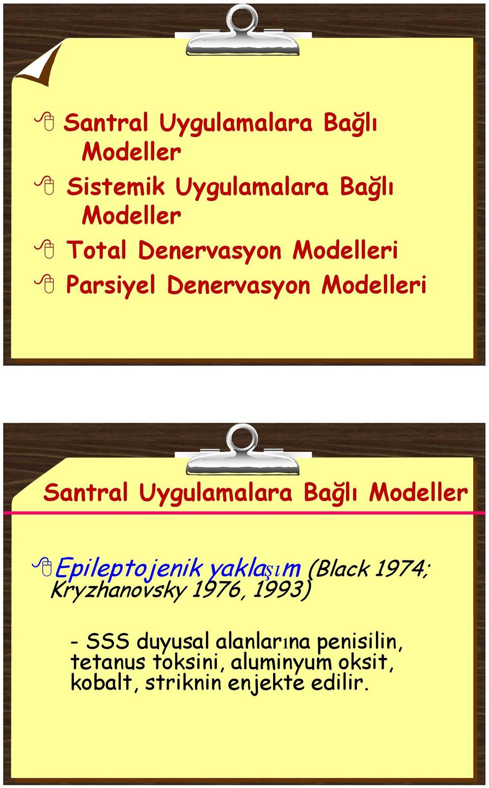 Modeller Epileptojenik yaklaşım (Black 1974; Kryzhanovsky 1976, 1993) - SSS