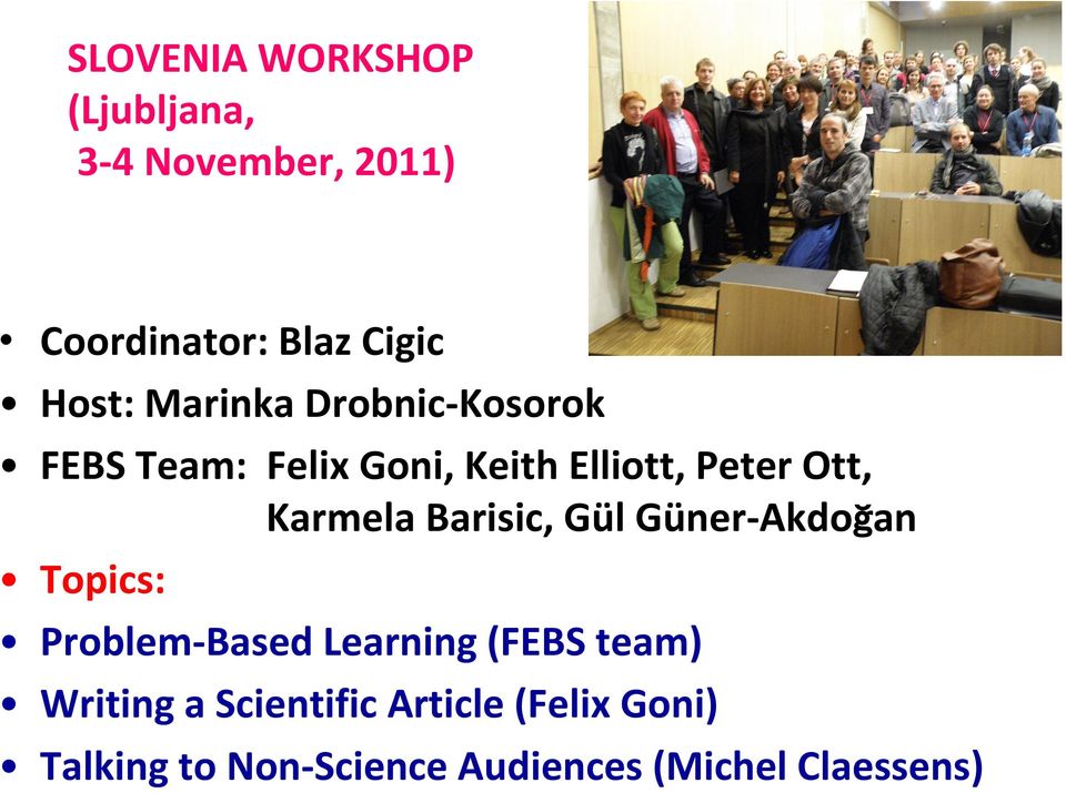 Barisic, Gül Güner-Akdoğan Topics: Problem-Based Learning (FEBS team) Writing a