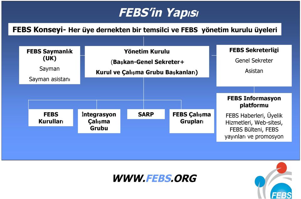 Sekreterliği Genel Sekreter Asistan FEBS Informasyon platformu FEBS Kurulları İntegrasyon Çalışma Grubu SARP