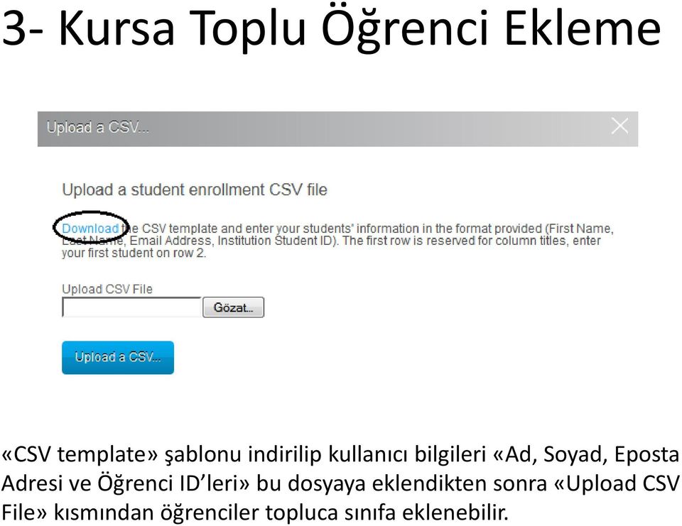 ve Öğrenci ID leri» bu dosyaya eklendikten sonra