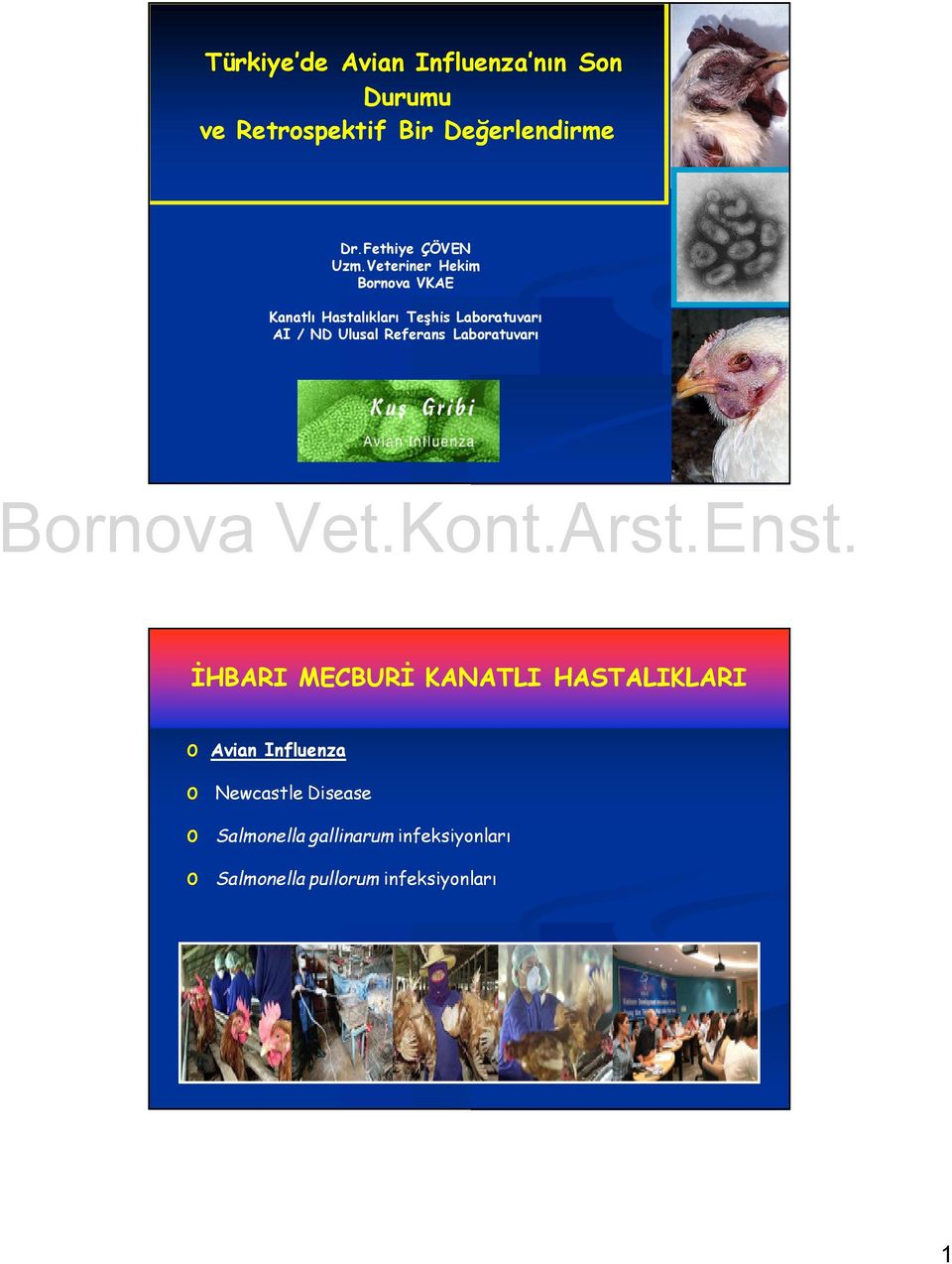 Veteriner Hekim Bornova VKAE Kanatlı Hastalıkları Teşhis Laboratuvarı AI / ND Ulusal