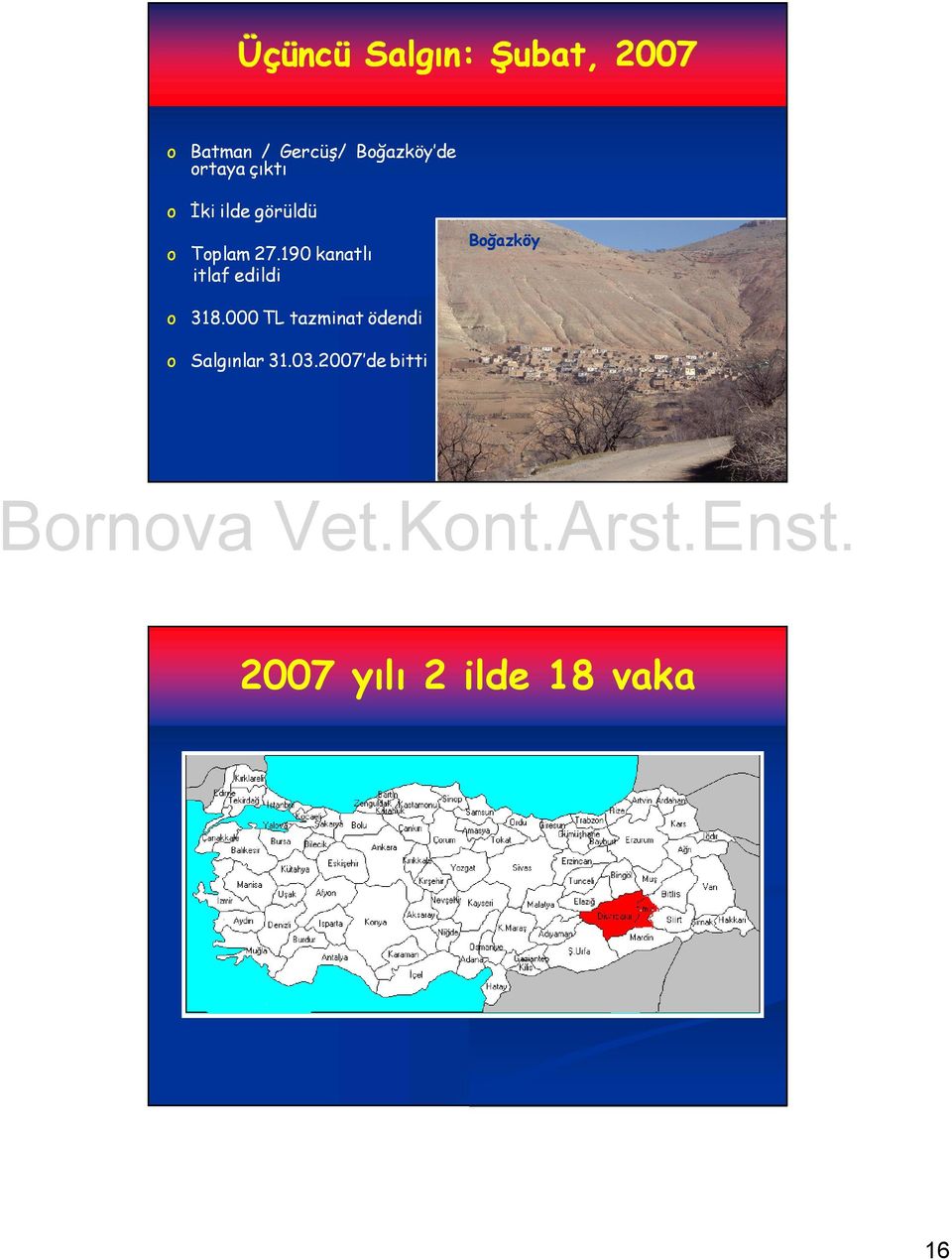 .190 kanatlı itlaf edildi Boğazköy o 318 318.
