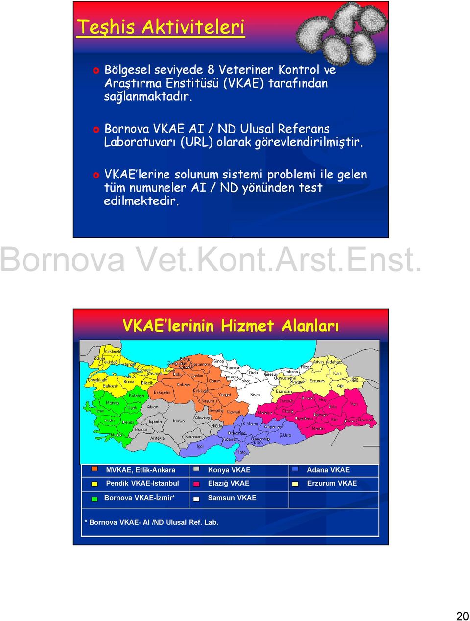 VKAE lerine solunum sistemi problemi ile gelen tüm numuneler AI / ND yönünden test edilmektedir.