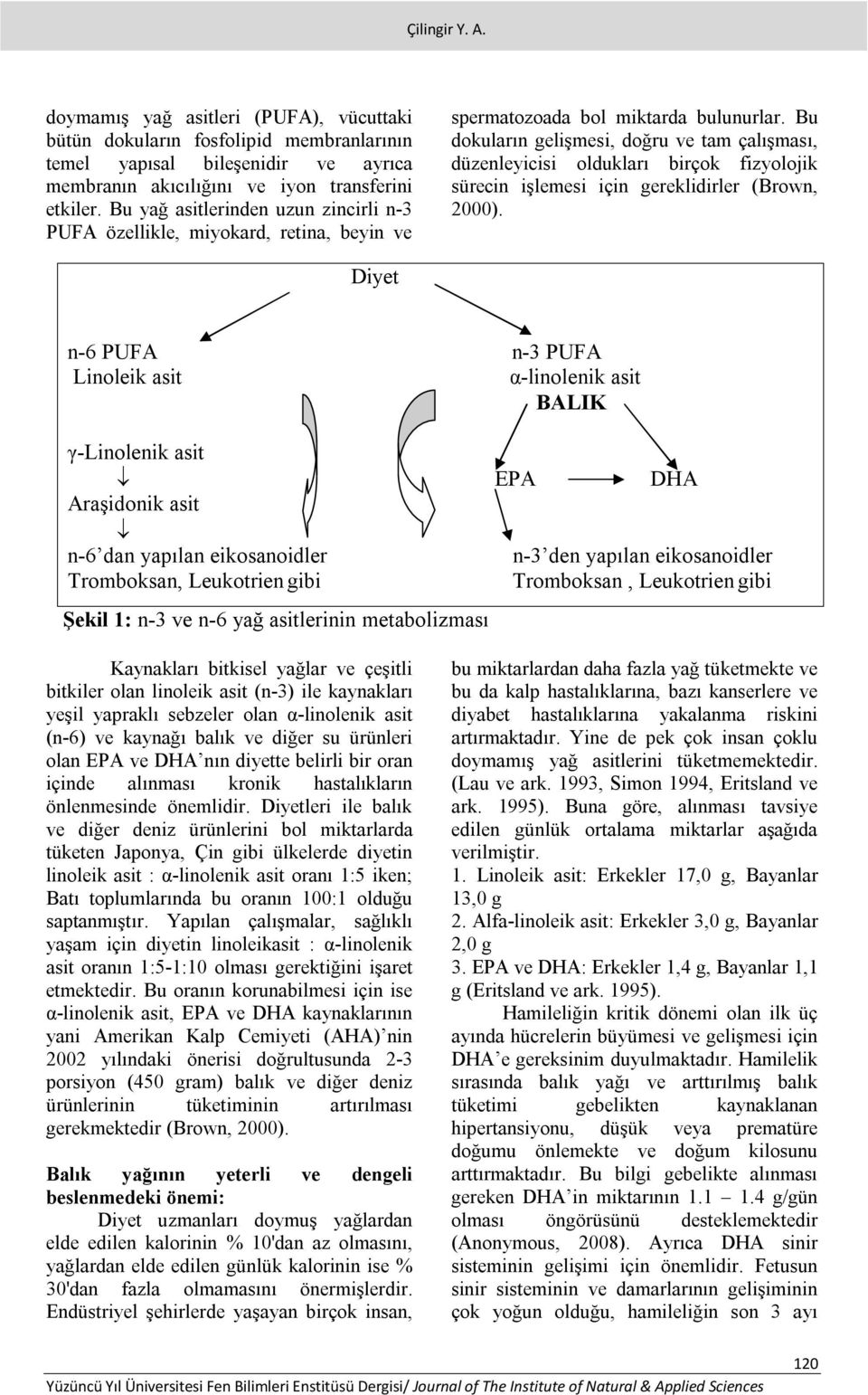 Bu dokuların gelişmesi, doğru ve tam çalışması, düzenleyicisi oldukları birçok fizyolojik sürecin işlemesi için gereklidirler (Brown, 2000).