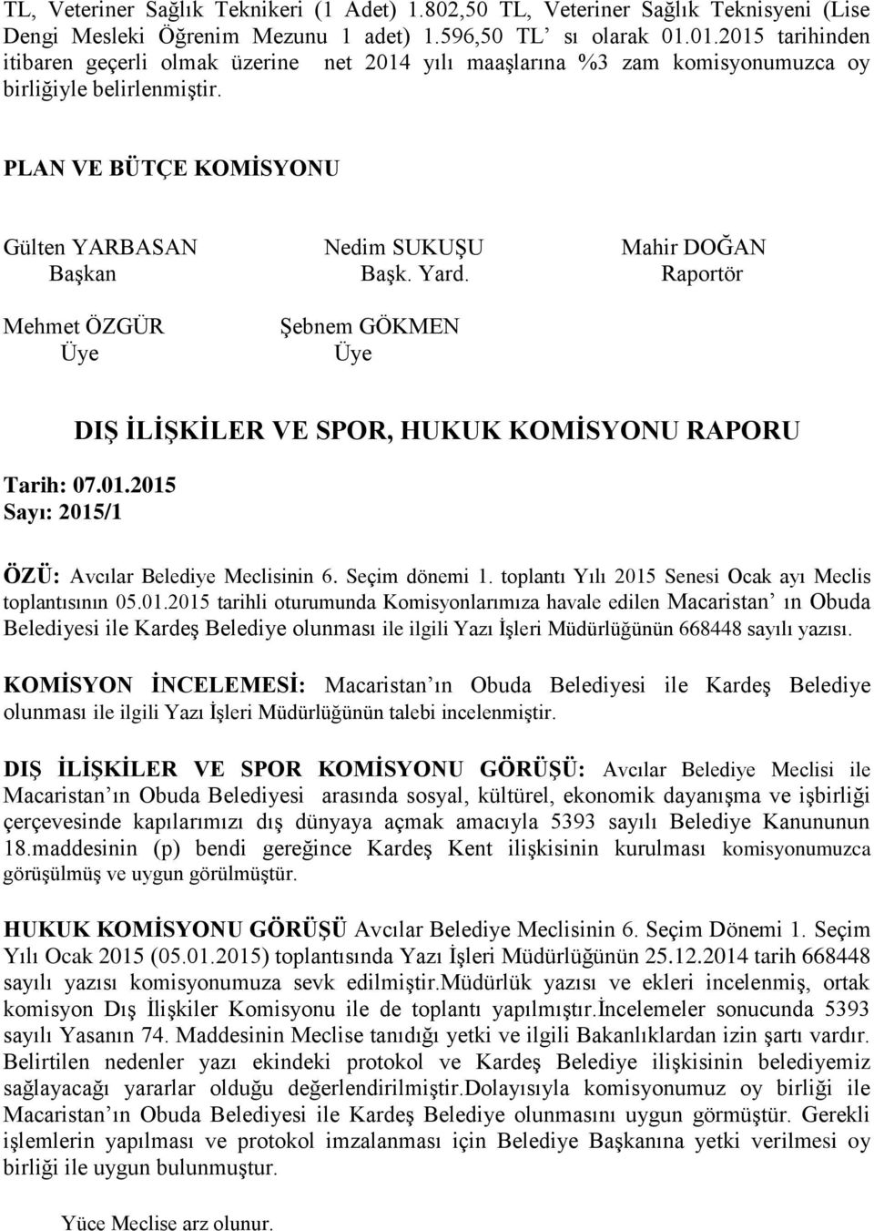 PLAN VE BÜTÇE KOMİSYONU Gülten YARBASAN Nedim SUKUŞU Mahir DOĞAN Mehmet ÖZGÜR Şebnem GÖKMEN DIŞ İLİŞKİLER VE SPOR, RAPORU Tarih: 07.01.2015 Sayı: 2015/1 ÖZÜ: Avcılar Belediye Meclisinin 6.