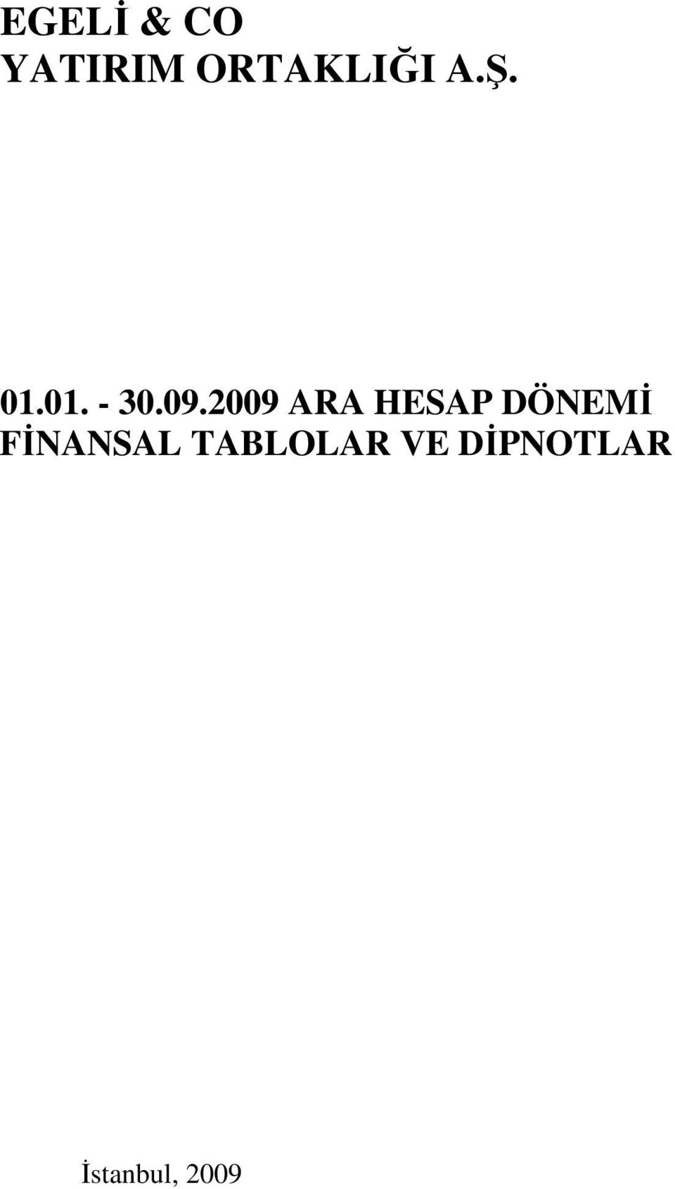 2009 ARA HESAP DÖNEMİ