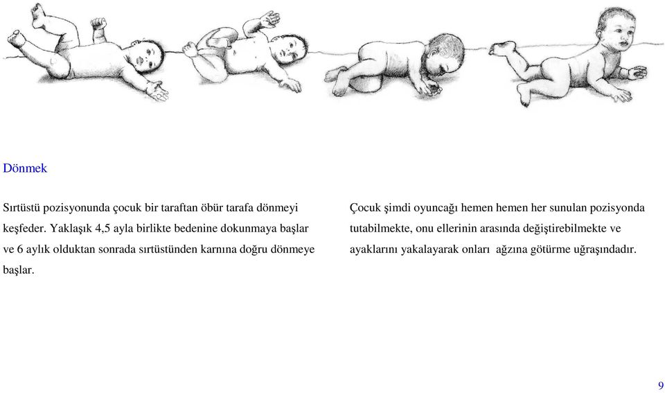 karnına doğru dönmeye başlar.