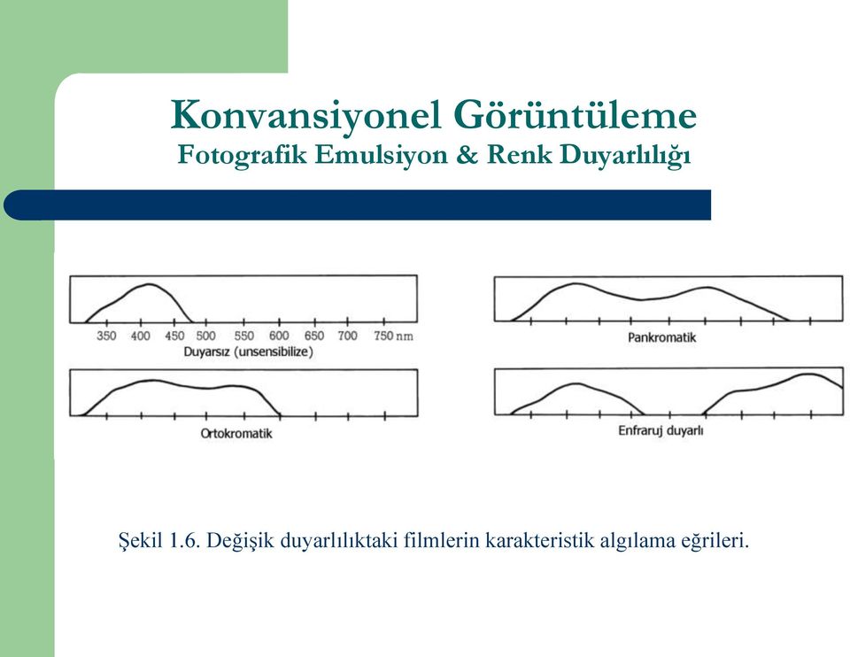 duyarlılıktaki