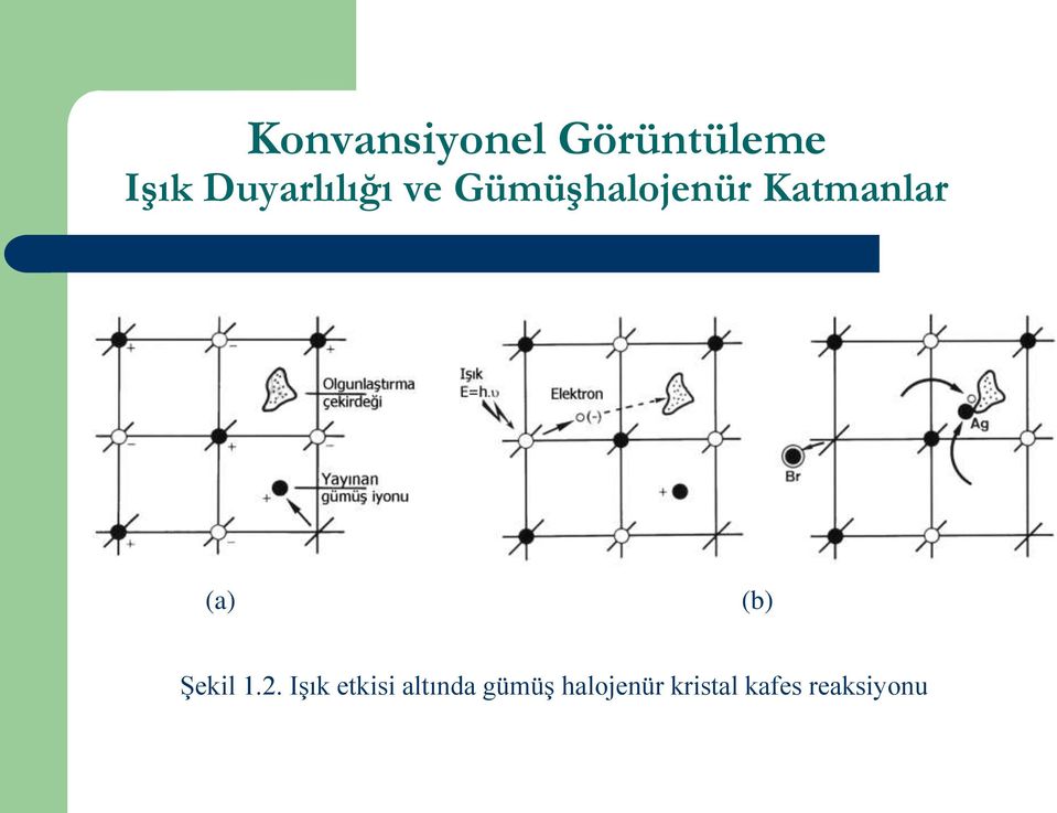 (b) Şekil 1.2.