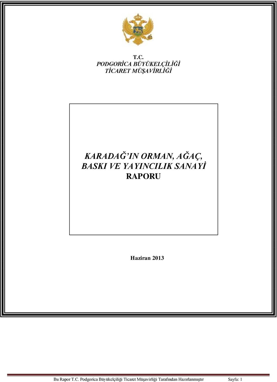 2007 BERLİN Haziran 2013 Bu Rapor T.C.