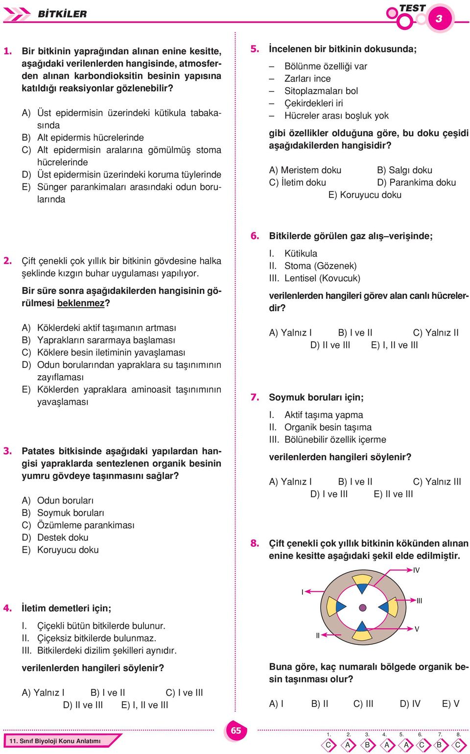 parankimalar aras ndaki odun borular nda 5.