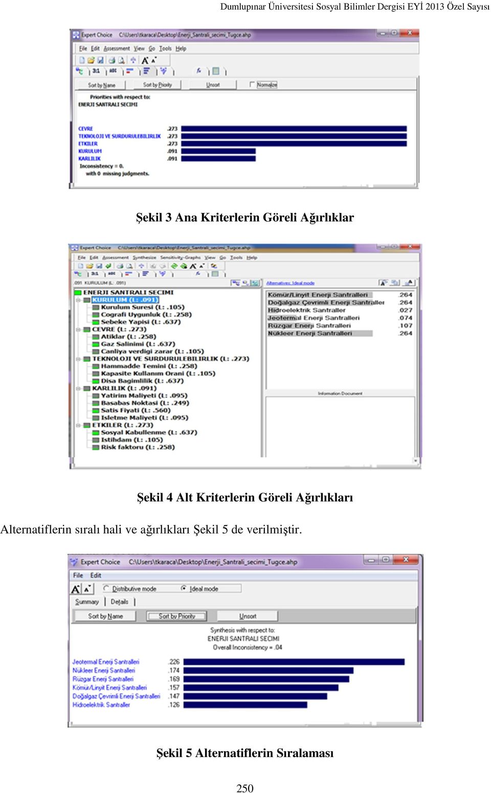 Alternatiflerin sıralı hali ve ağırlıkları