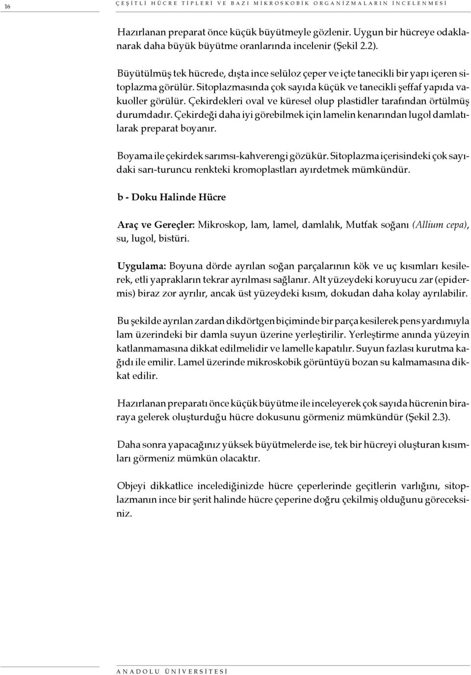 Sitoplazmasında çok sayıda küçük ve tanecikli şeffaf yapıda vakuoller görülür. Çekirdekleri oval ve küresel olup plastidler tarafından örtülmüş durumdadır.