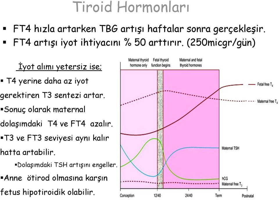 (250micgr/gün) İyot alımı yetersiz ise; T4 yerine daha az iyot gerektiren T3 sentezi artar.