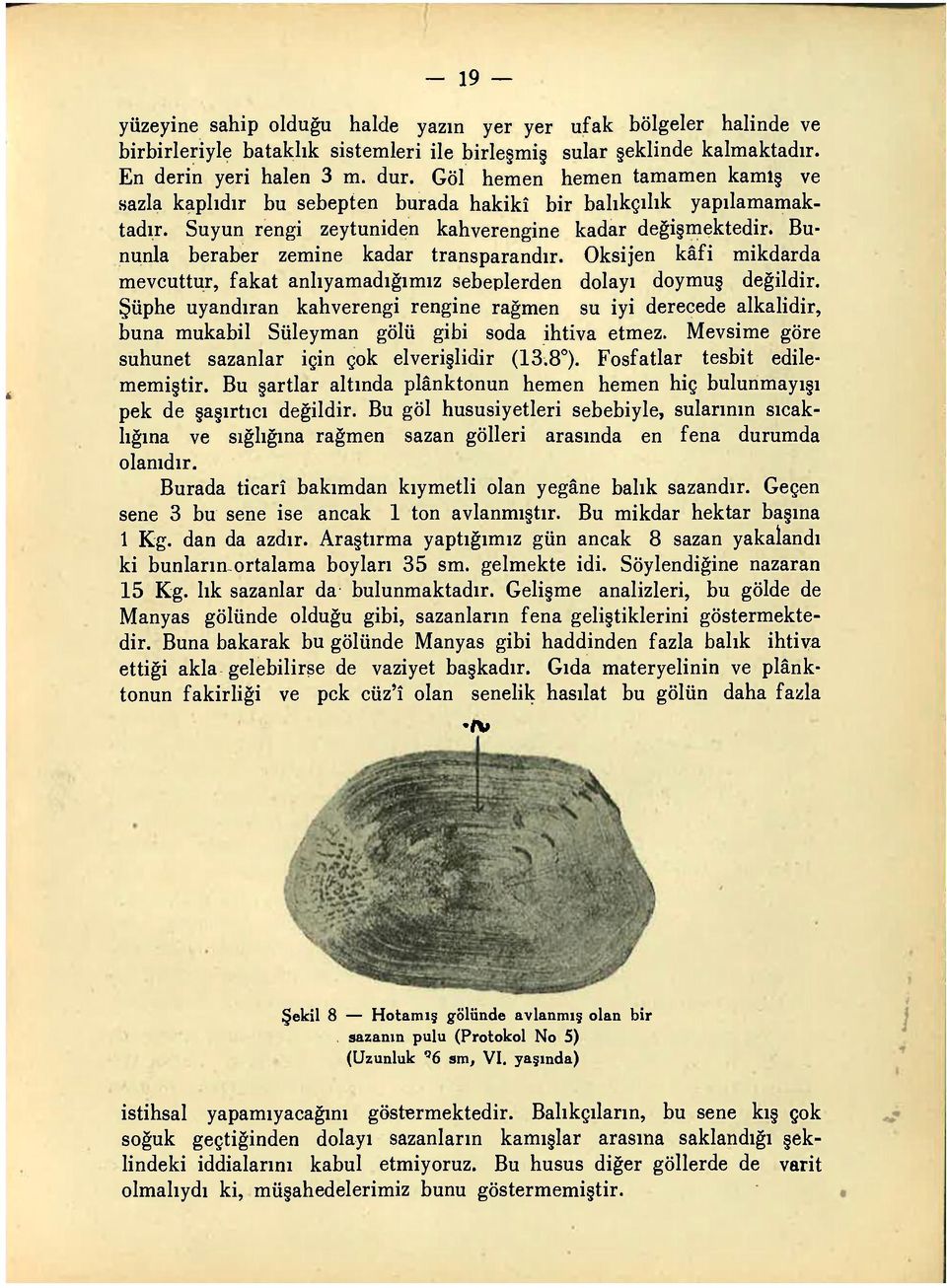 Bununla beraber zemine kadar transparandır. Oksijen kâfi mikdarda mevcuttur, fakat anlıyamadığımız sebeplerden dolayı doymuş değildir.