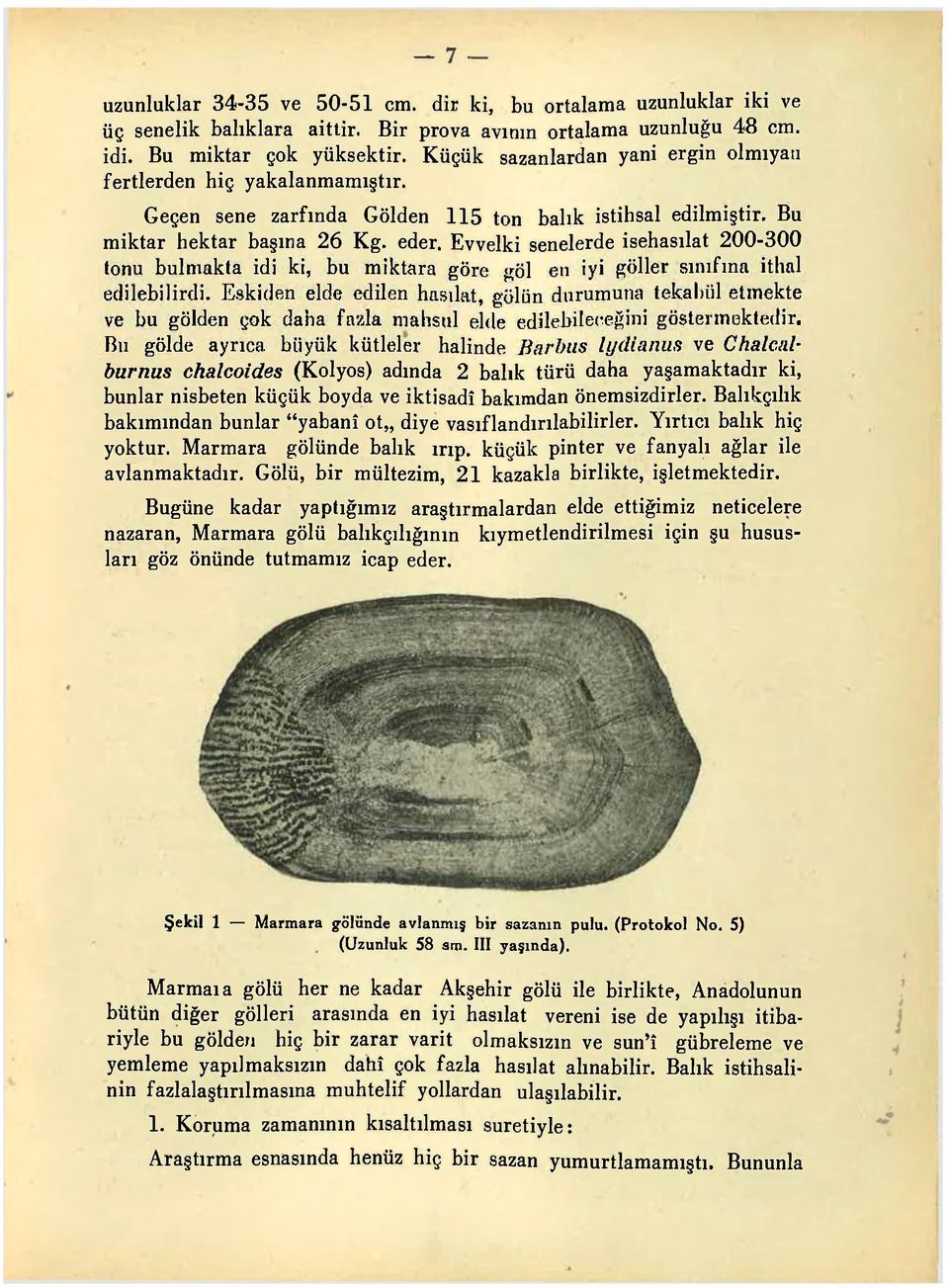 Evvelki senelerde isehasılat 200-300 tonu bulmakta idi ki, bu miktara göre göl en iyi göller sınıfına ithal edilebilirdi.