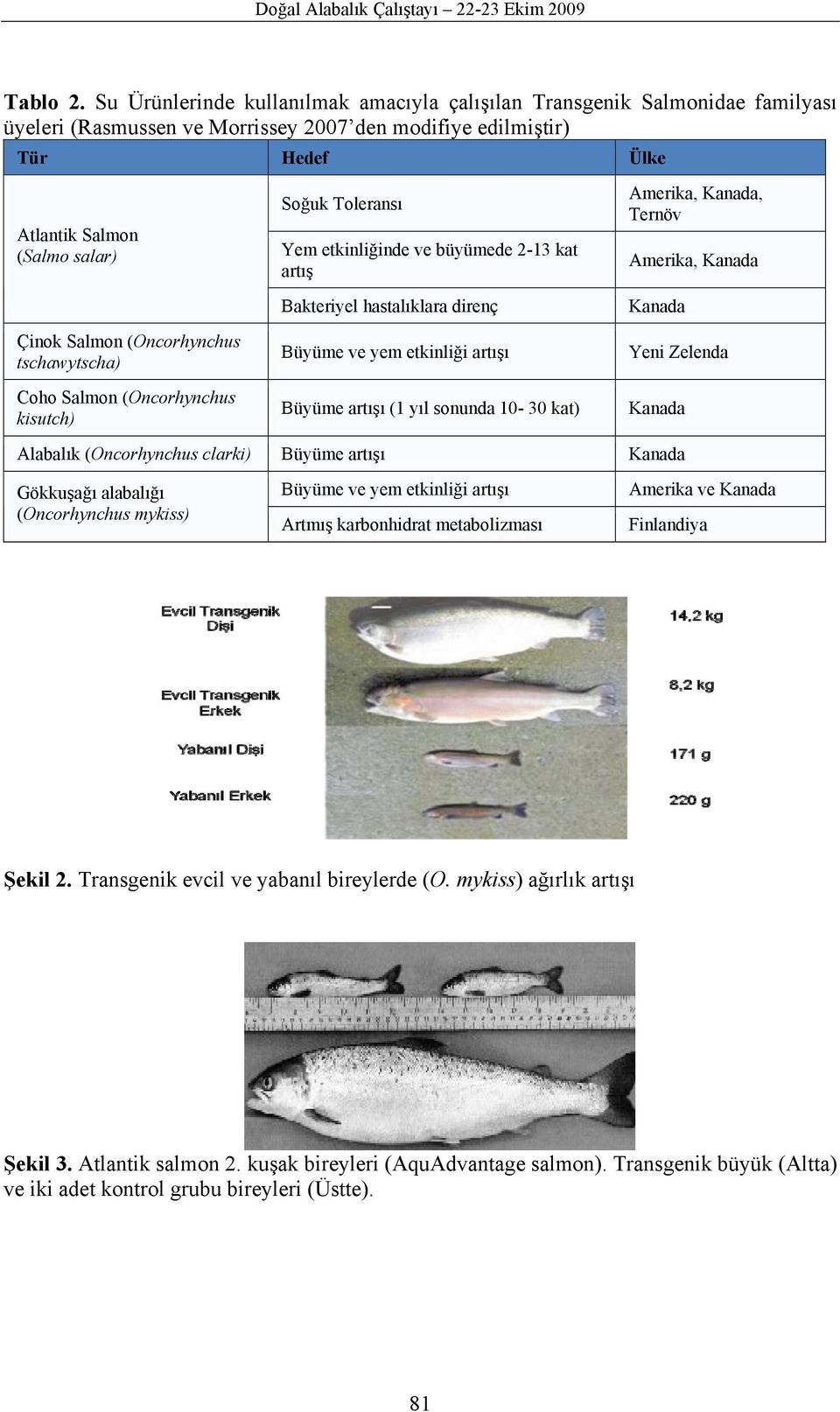 (Oncorhynchus tschawytscha) Coho Salmon (Oncorhynchus kisutch) Soğuk Toleransı Yem etkinliğinde ve büyümede 2-13 kat artış Bakteriyel hastalıklara direnç Büyüme ve yem etkinliği artışı Büyüme artışı
