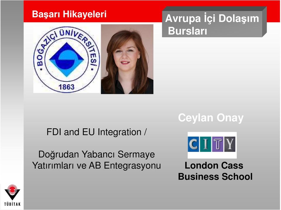 Doğrudan Yabancı Sermaye Yatırımları ve