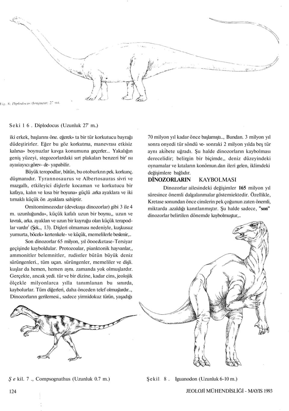 Tyrannosaurus ve Albertosauras sivri ve mazgallı, etkileyici dişlerle kocaman ve korkutucu bir kafaya, kalın ve kısa bir boyuna» güçlü.arka ayaklara ve iki tırnaklı küçük ön.ayaklara sahiptir.