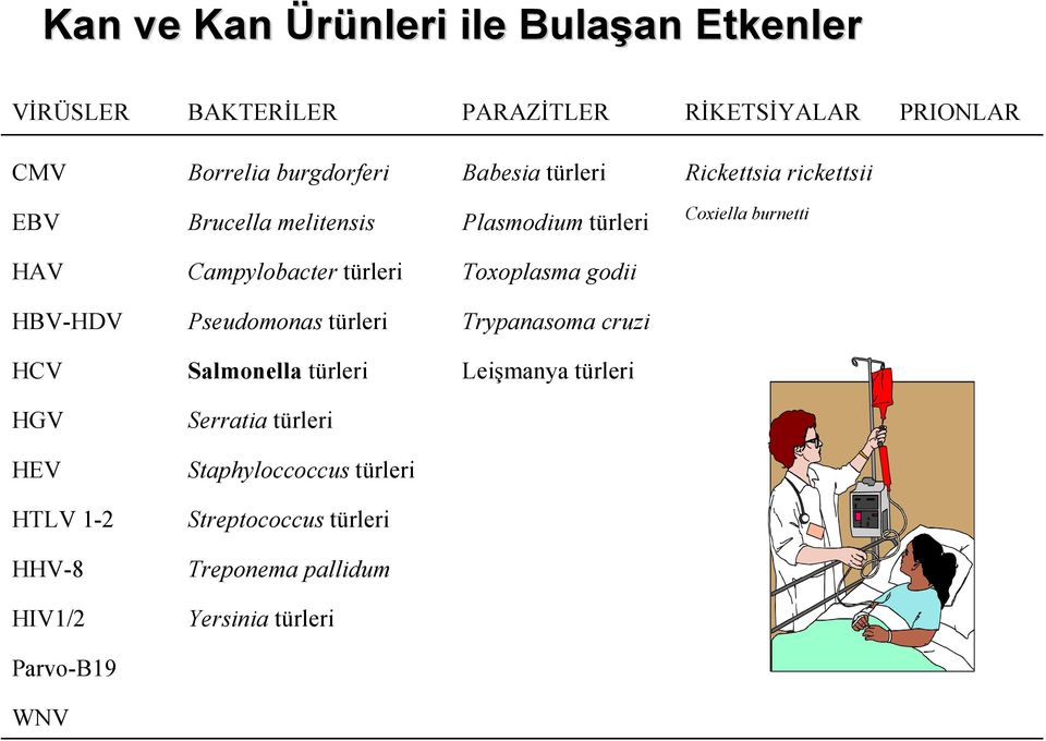 türleri Toxoplasma godii HBV-HDV Pseudomonas türleri Trypanasoma cruzi HCV Salmonella türleri Leişmanya türleri HGV