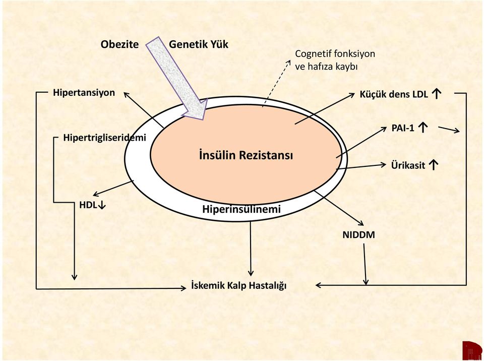 Hipertrigliseridemi i id i İnsülin Rezistansı