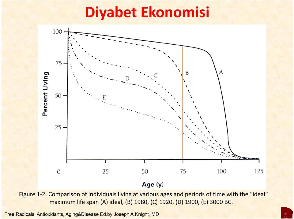 time with the ideal maximum life span (A) ideal, (B) 1980, (C)