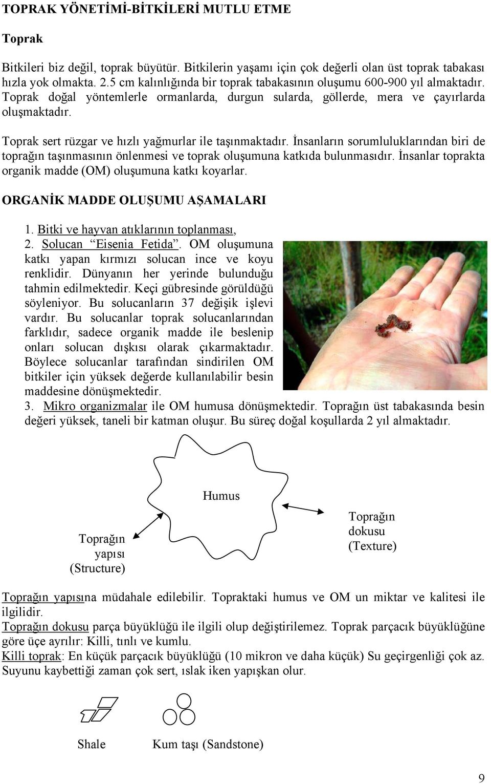 Toprak sert rüzgar ve hızlı yağmurlar ile taşınmaktadır. Đnsanların sorumluluklarından biri de toprağın taşınmasının önlenmesi ve toprak oluşumuna katkıda bulunmasıdır.