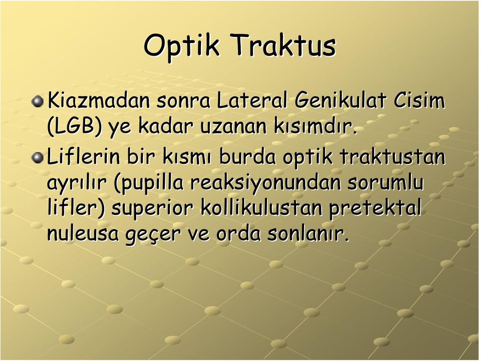 Liflerin bir kısmk smı burda optik traktustan ayrılır r