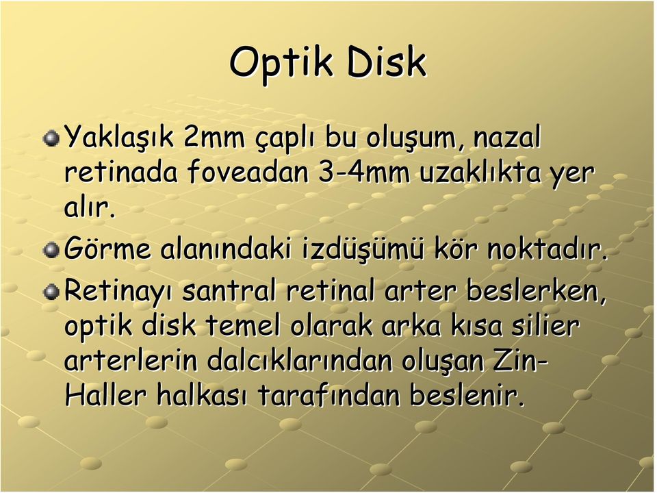 Retinayı santral retinal arter beslerken, optik disk temel olarak arka kısa k