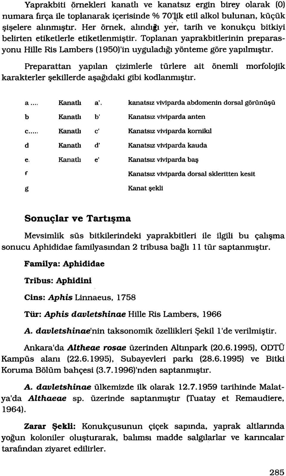 Preparattan yapllan izimlerle türlere ait önemli morfolojik karakterler ekillerde aagldaki gibi kodlanmlhr.