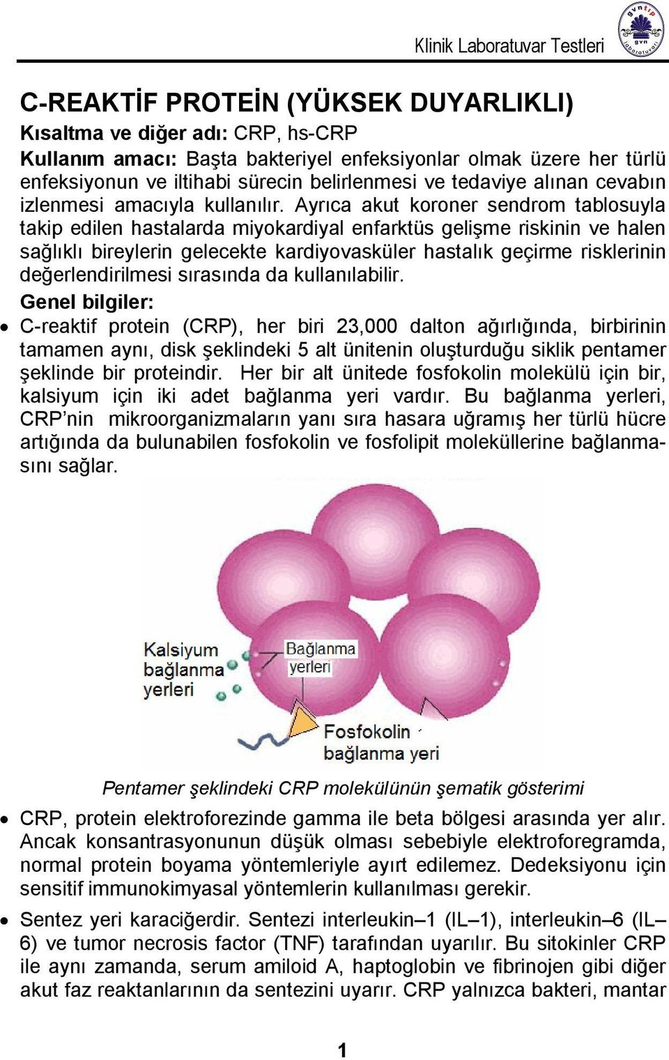 Ayrıca akut koroner sendrom tablosuyla takip edilen hastalarda miyokardiyal enfarktüs gelişme riskinin ve halen sağlıklı bireylerin gelecekte kardiyovasküler hastalık geçirme risklerinin