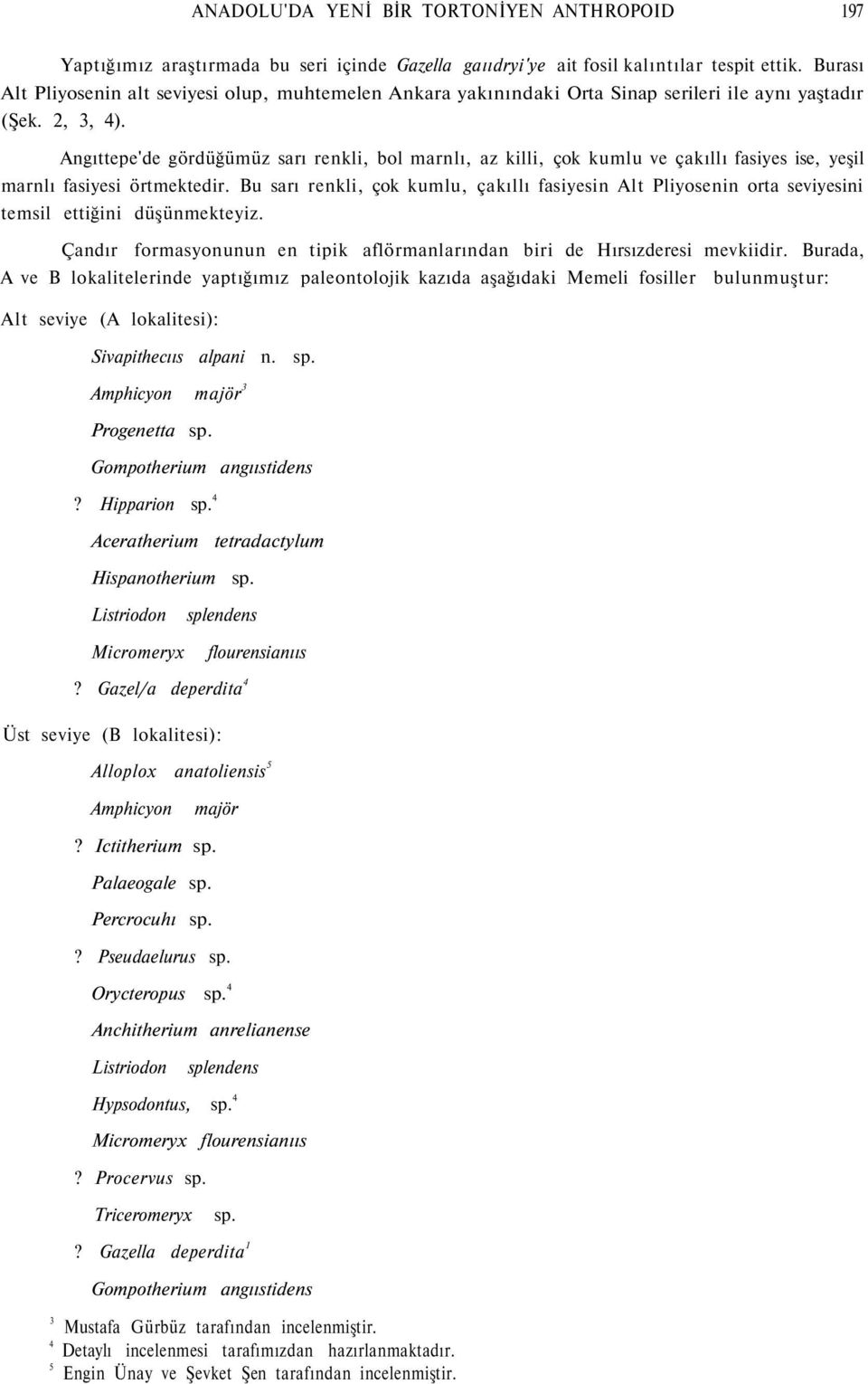 Angıttepe'de gördüğümüz sarı renkli, bol marnlı, az killi, çok kumlu ve çakıllı fasiyes ise, yeşil marnlı fasiyesi örtmektedir.