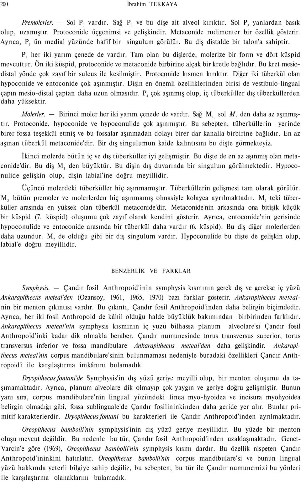 Tam olan bu dişlerde, molerize bir form ve dört küspid mevcuttur. Ön iki küspid, protoconide ve metaconide birbirine alçak bir kretle bağlıdır.