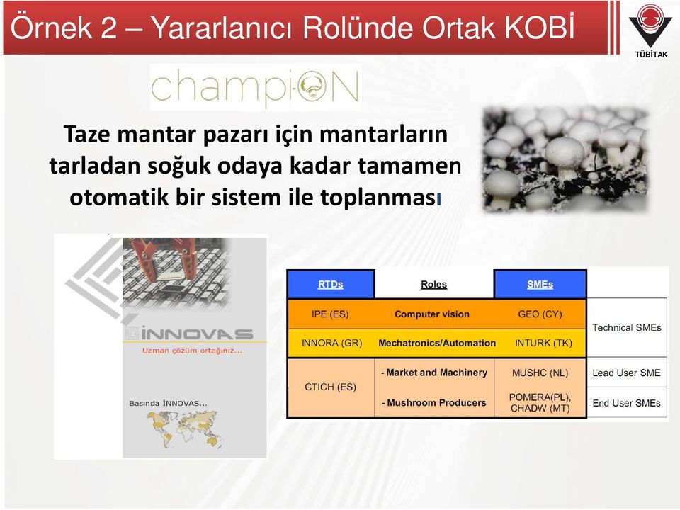 mantarların tarladan soğuk odaya