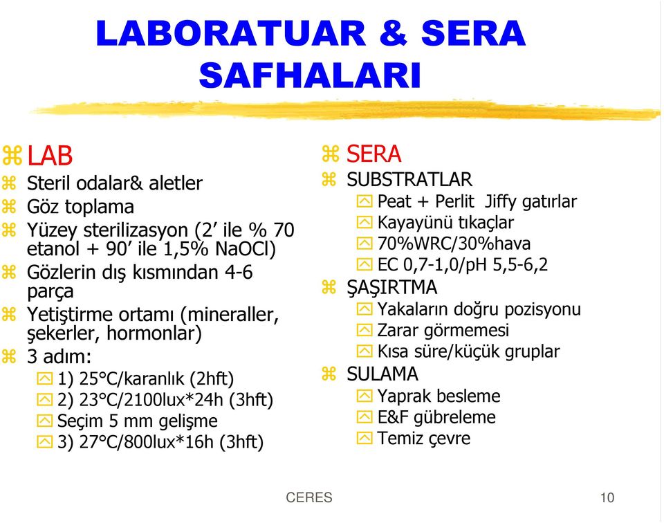 Seçim 5 mm geliºme 3) 27 C/800lux*16h (3hft) SERA SUBSTRATLAR Peat + Perlit Jiffy gatýrlar Kayayünü týkaçlar 70%WRC/30%hava EC