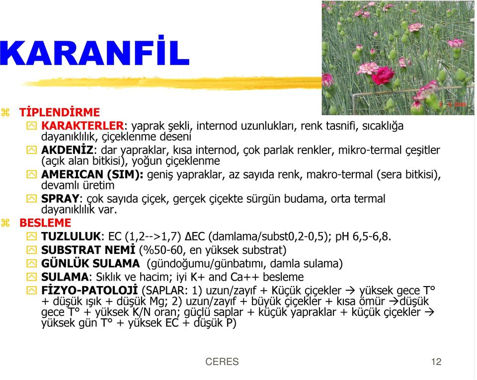 termal dayanýklýlýk var. BESLEME TUZLULUK: EC (1,2-->1,7) ÄEC (damlama/subst0,2-0,5); ph 6,5-6,8.